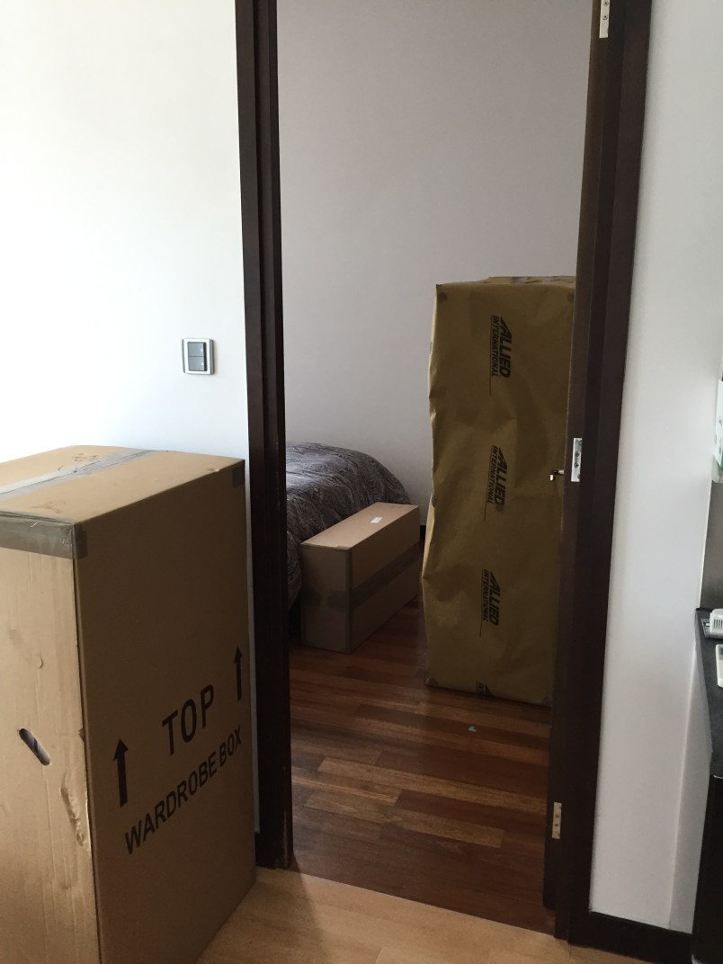 The dresser shows up.  And a huge box.  What on earth is THAT?