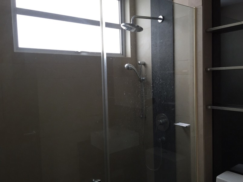 The bathroom is tough to photograph - it's also small (of course).  There's a nice walk-i shower.  On the right you can see the storage shelves behind the sliding mirror. 