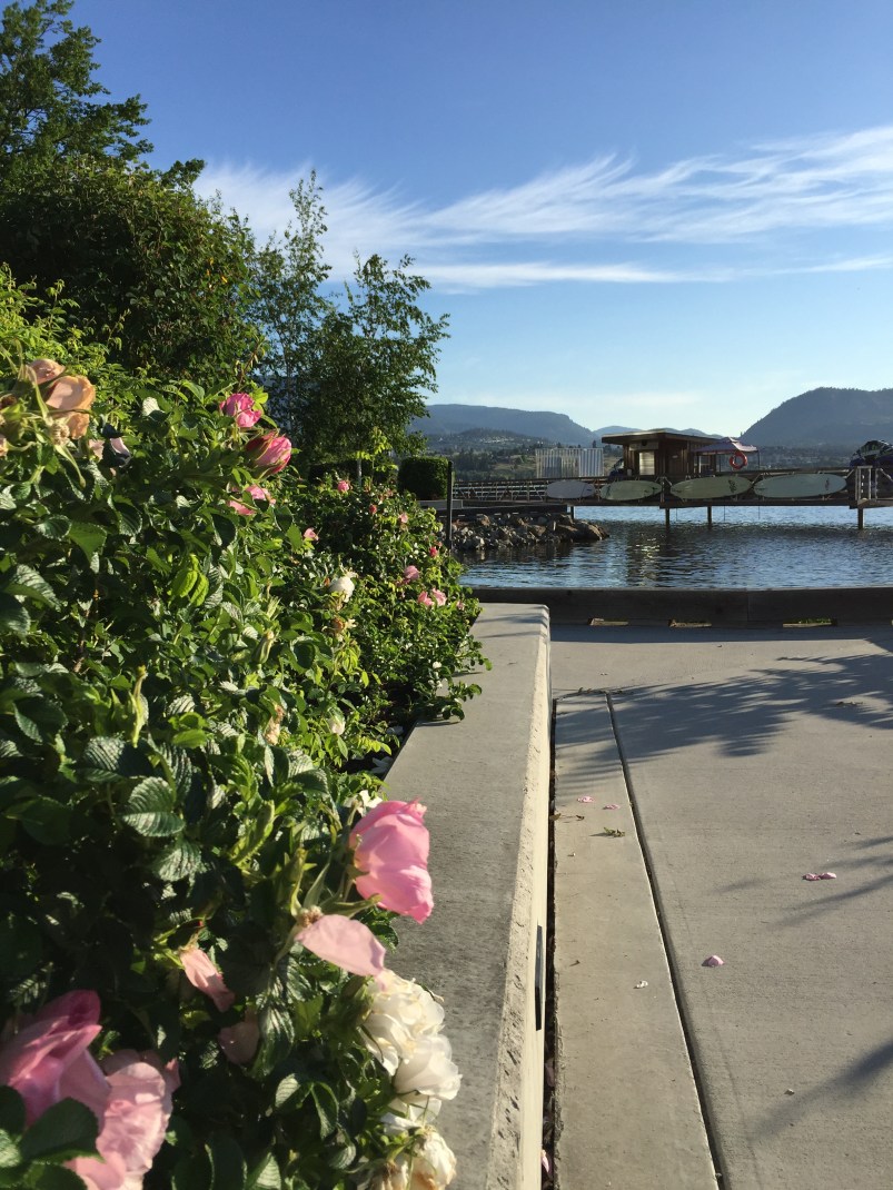 There's a pathway along the water that extends beyond the resort. We saw so many people going for walks.