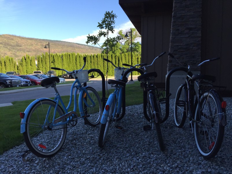 Cute cruiser bikes for rent. 