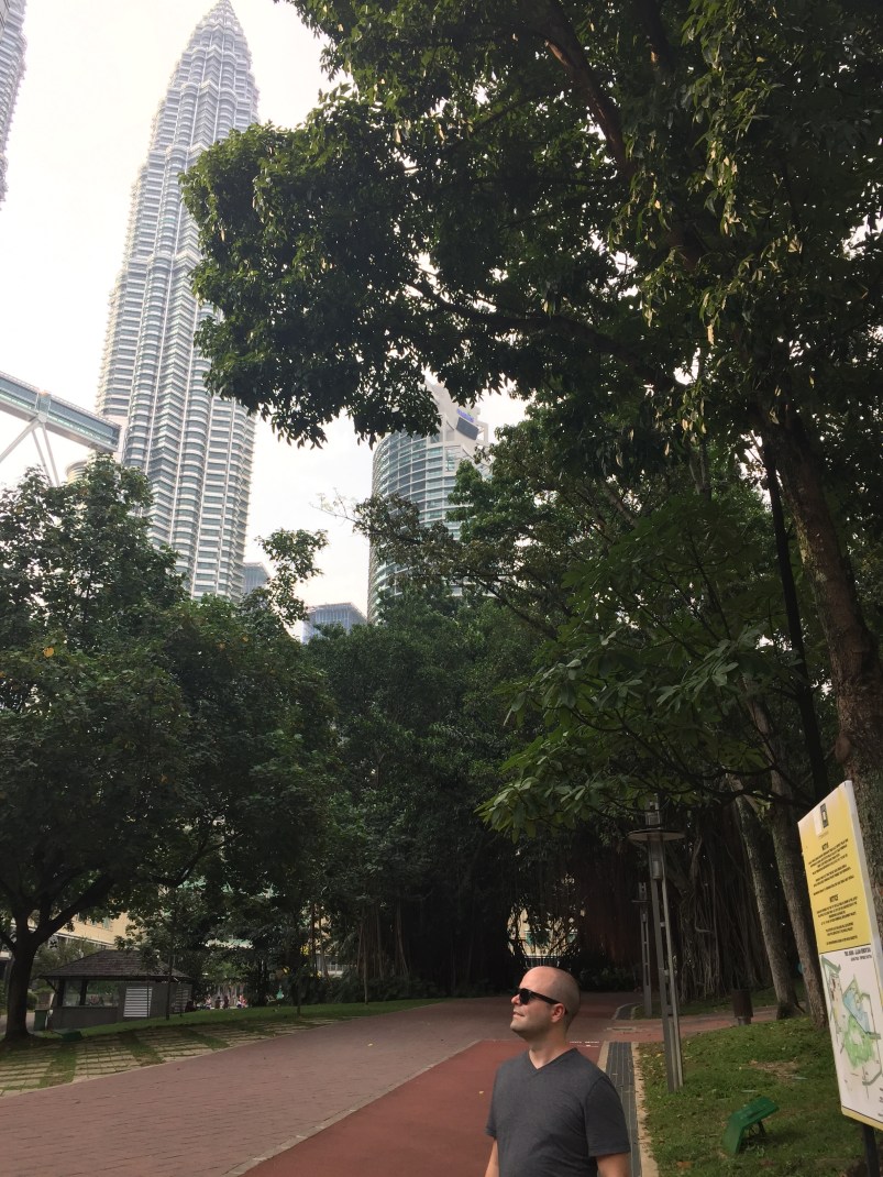 view of the towers in the park.