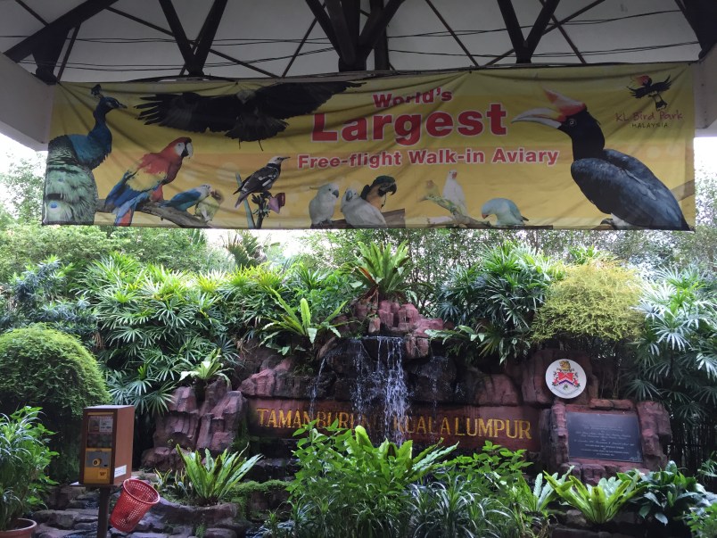 A Life Shift 20150709t