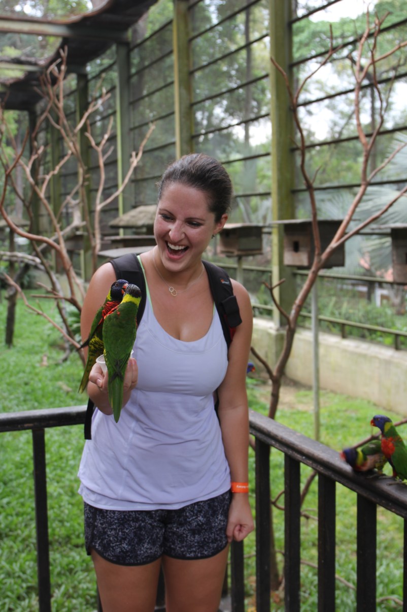 These parrots were feisty. You can't see in the photo, but I'm holding a little cup of honey milk.