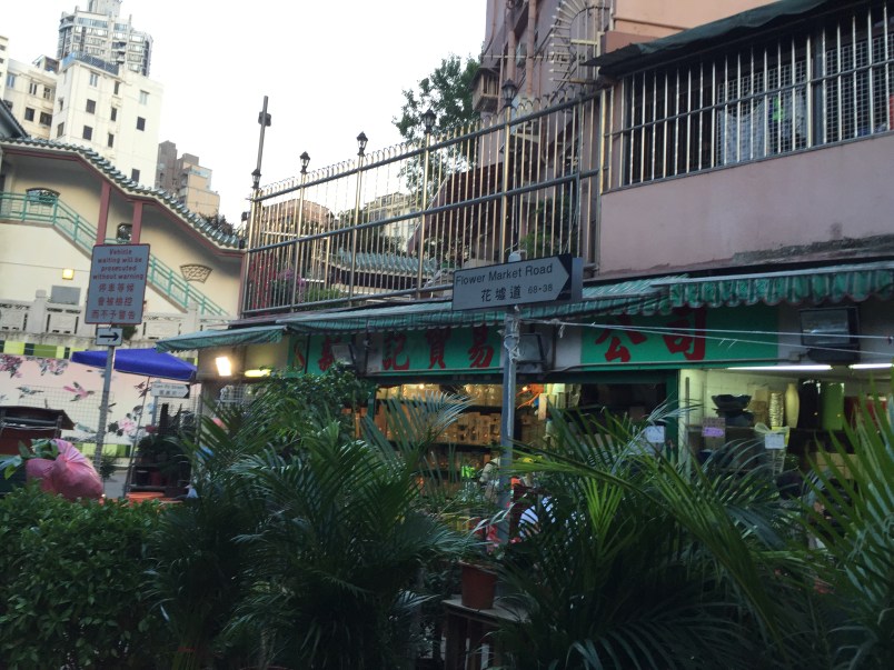 A Life Shift 20150724f