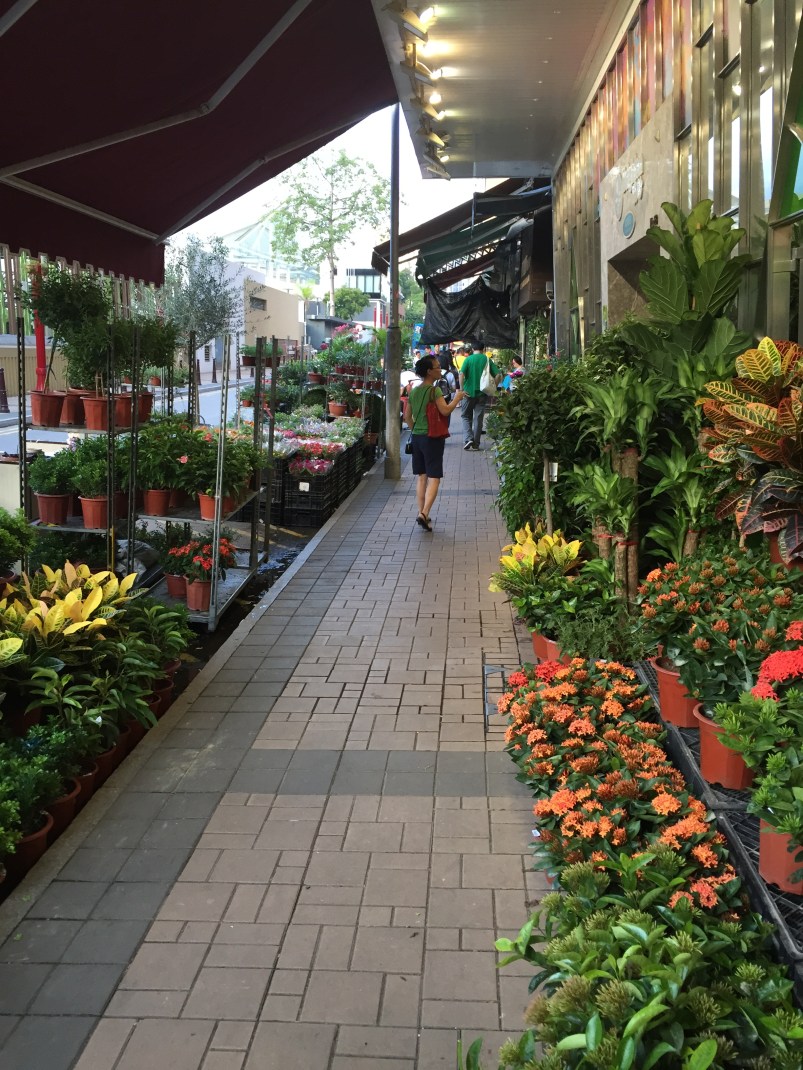 A Life Shift 20150724j