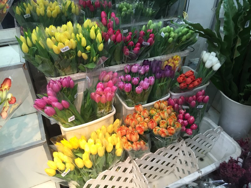 The first tulips we have seen in Hong Kong!