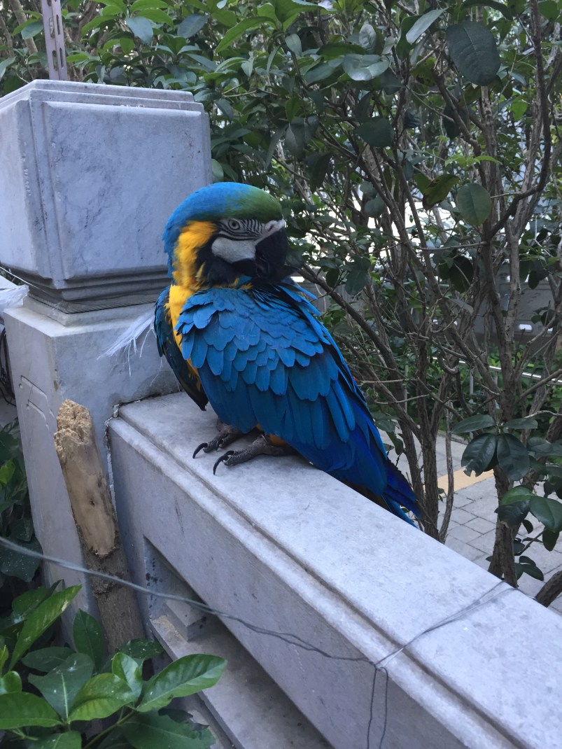 A Life Shift 20150724q