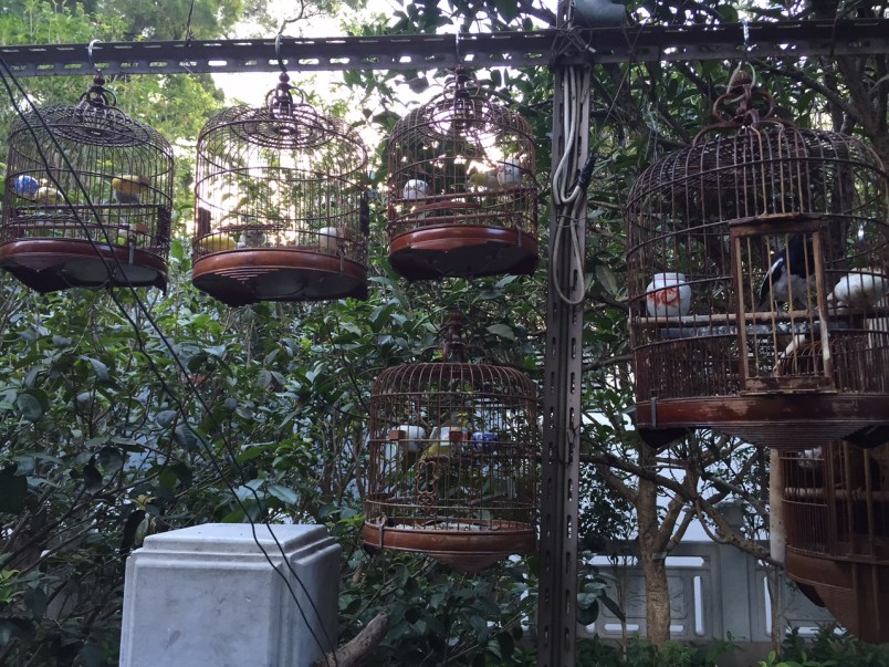 A Life Shift 20150724r