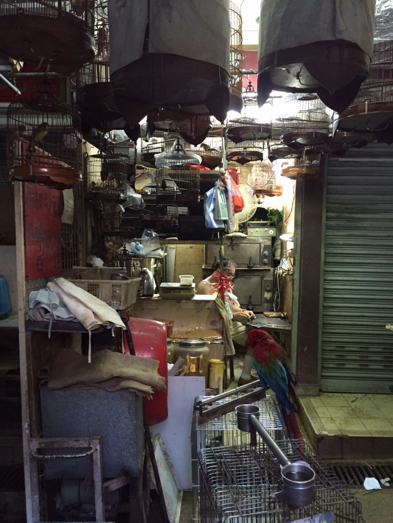 A Life Shift 20150724s