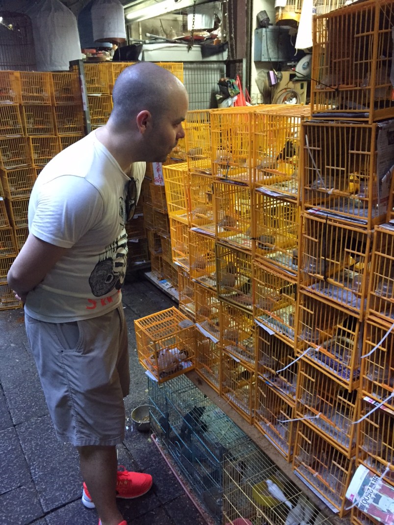 A Life Shift 20150724u