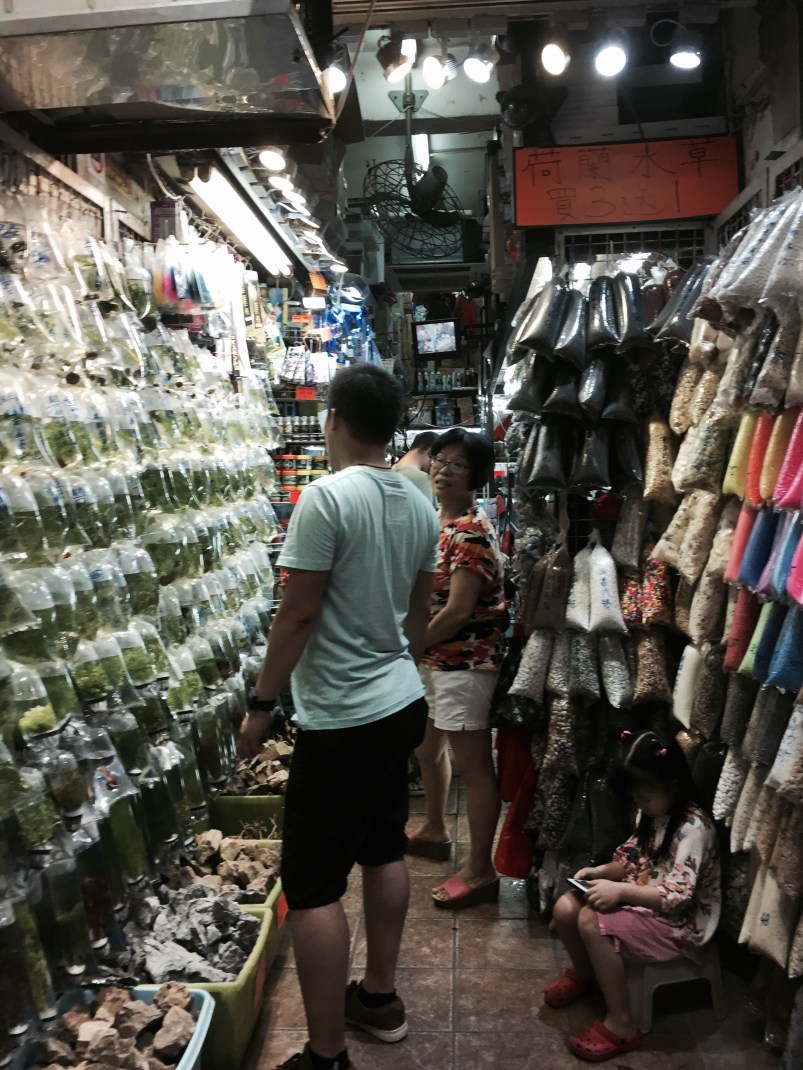 A Life Shift 20150724za