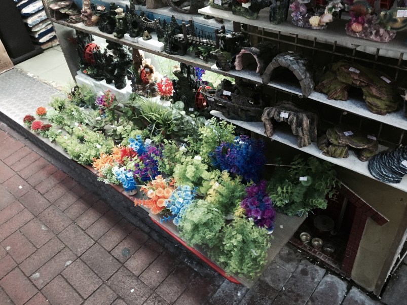 A Life Shift 20150724zd