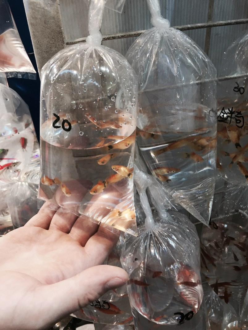 A Life Shift 20150724zf