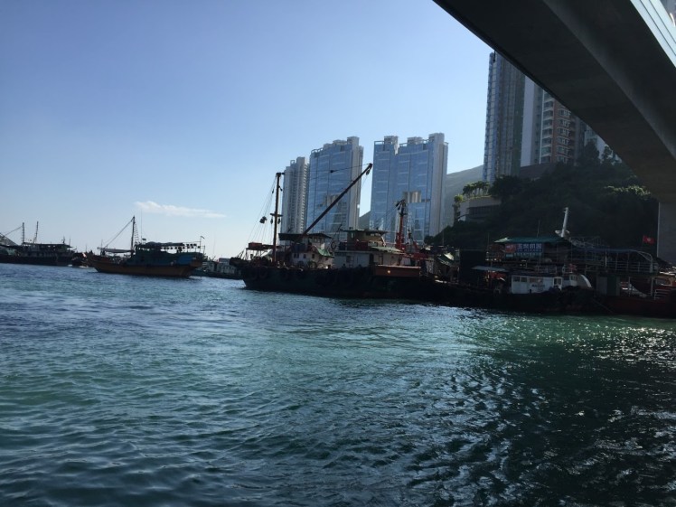 A Life Shift 20151125d