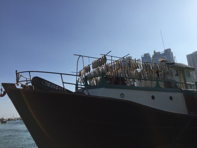 A Life Shift 20151125n