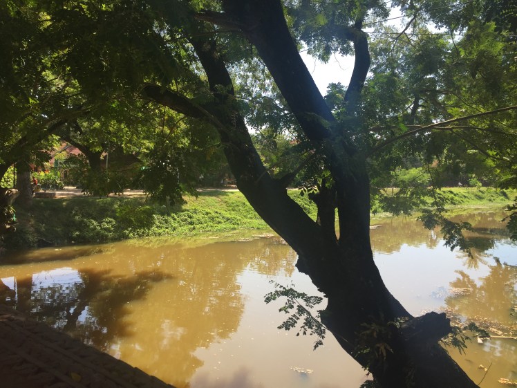 A Life Shift 20151229bj