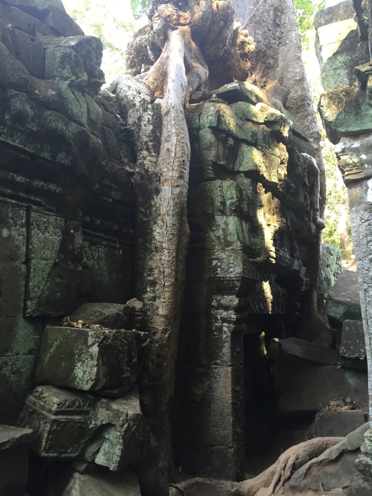 A Life Shift 20151229bz