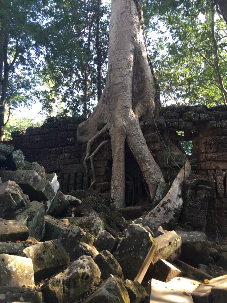 A Life Shift 20151229cd