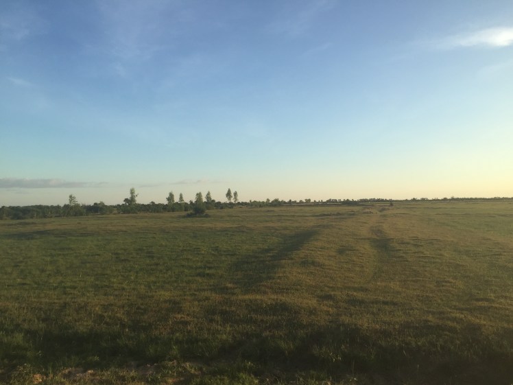 A Life Shift 20151229de