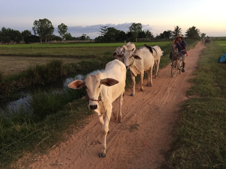 A Life Shift 20151229dk