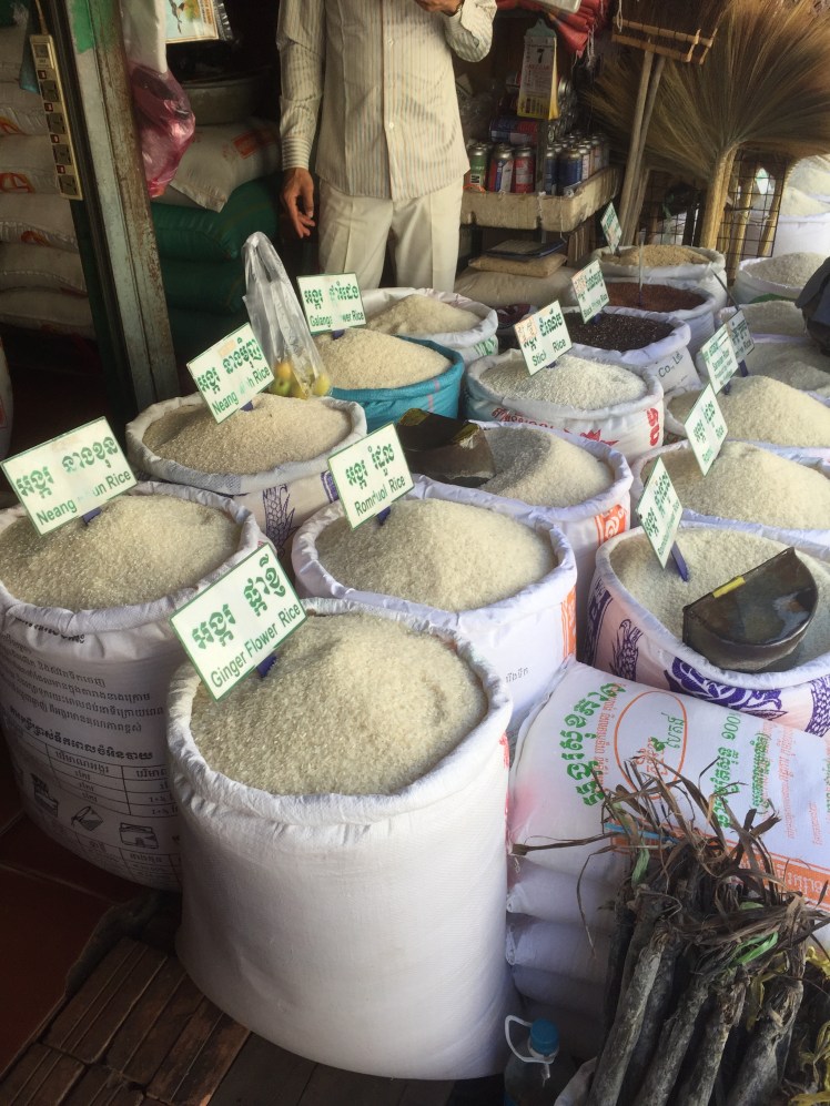 A Life Shift 20151229j