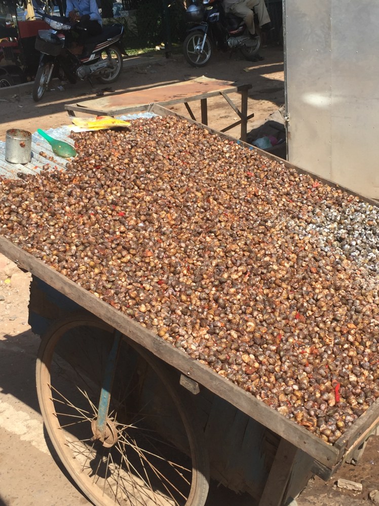 A Life Shift 20151229p