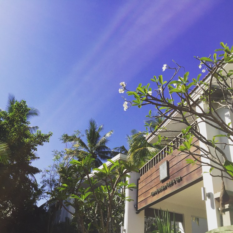 A Life Shift 20151229w