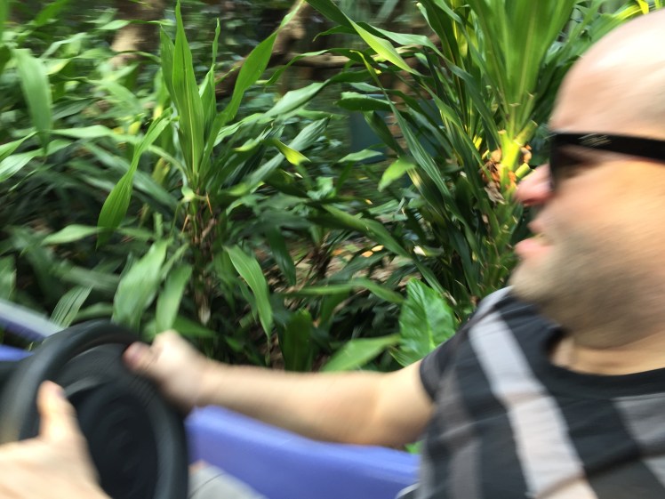 A Life Shift 20150127y