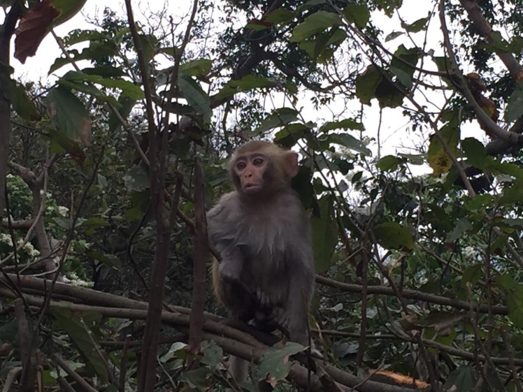 A Life Shift 20160518a