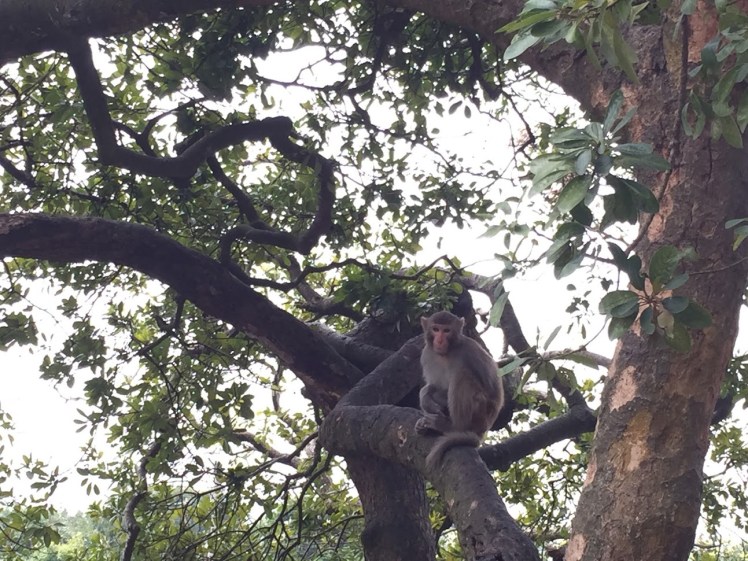 A Life Shift 20160518b