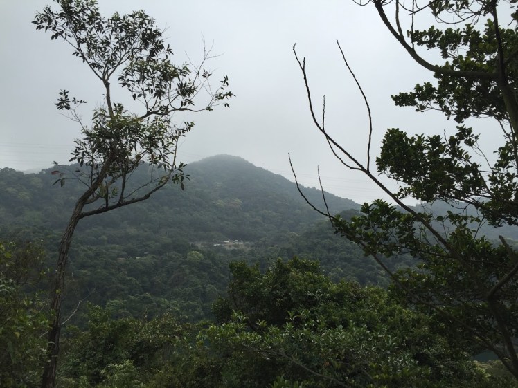 A Life Shift 20160518c