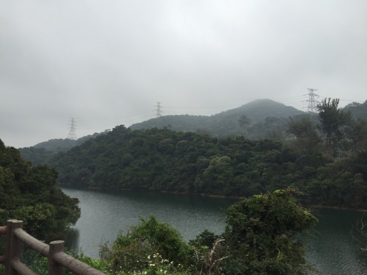 A Life Shift 20160518d