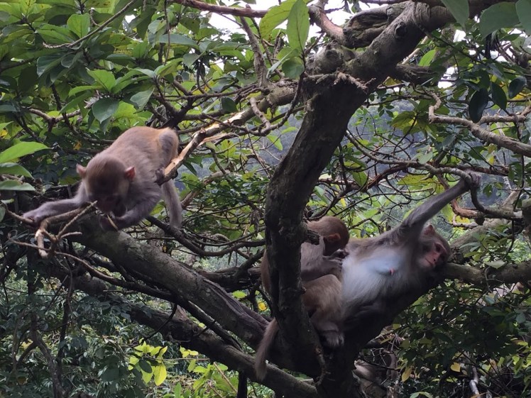 A Life Shift 20160518j