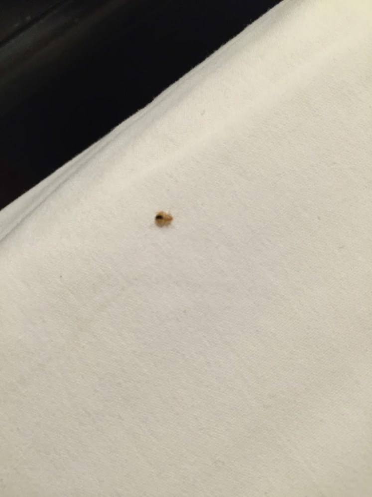 A Lift Shift 20160504s