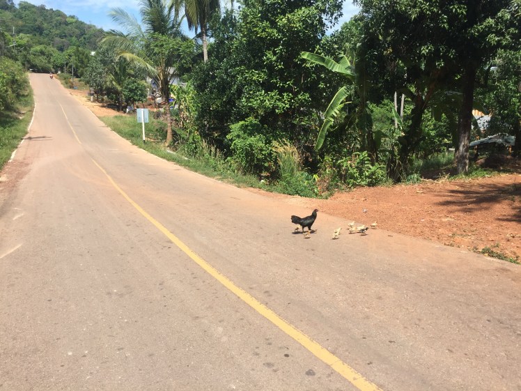 A Lift Shift 20160504zd